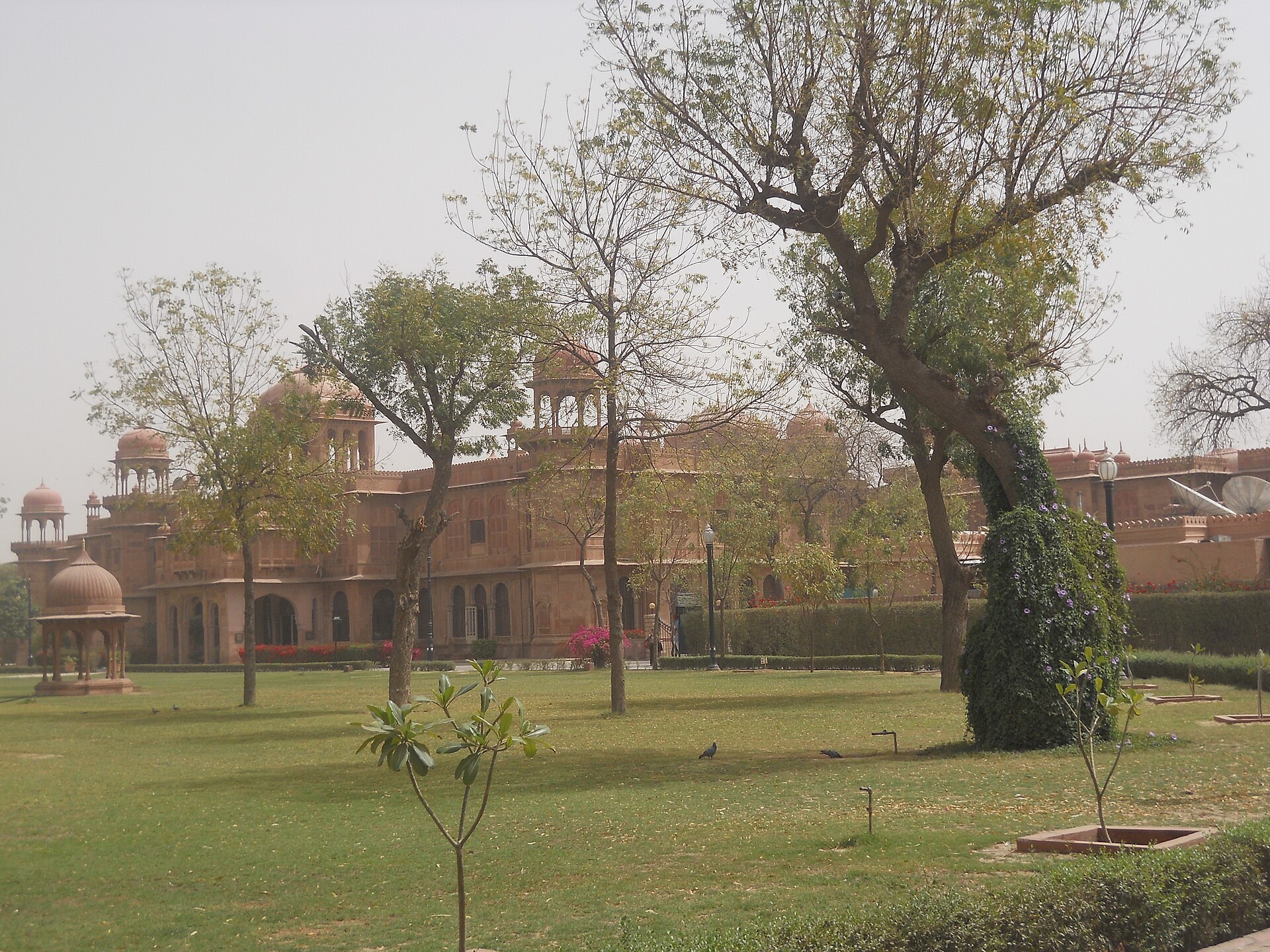 Laxmi Niwas Palace facade through the palm trees